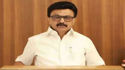 Tamil Nadu verdict: Let Vijay form government, will watch, won’t disturb for 6 months, says MK Stalin | India News