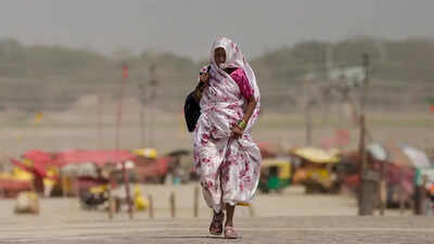 Delhi, UP, Rajasthan, Punjab & more states sizzle in heatwave: What's fuelling temperature spike