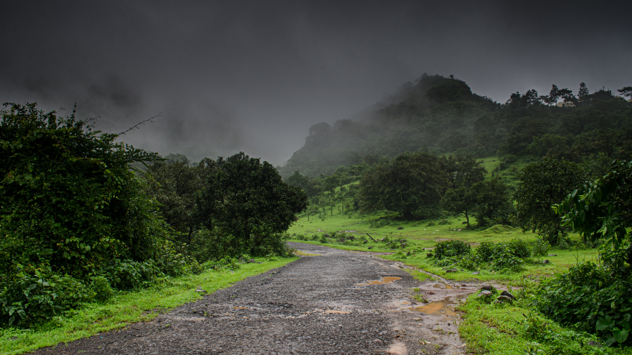 India’s most scenic monsoon road trips: safety tips travellers should know