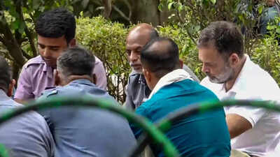 Watch: Rahul Gandhi dons auto driver's uniform, shares meal and interacts with them in Delhi | India News