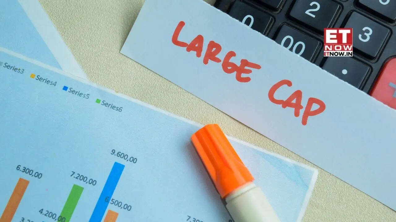 Mutual funds raise bets on large cap stocks: Adani Enterprises, ICICI Bank, SBI, Eternal & others in focus - Mutual Funds