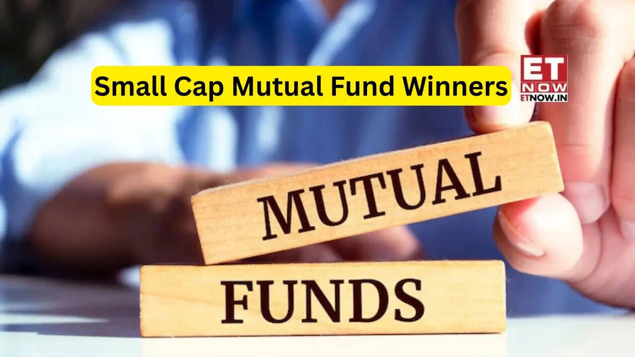 Small Cap Mutual Fund Winners: These schemes delivered big returns in 3, 5 & 10 years - LIST - Mutual Funds