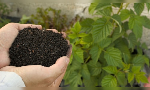 GSFC Q4 Results: Higher expenses weigh on margins, profitability despite 37% topline growth