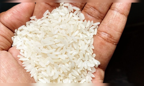 Basmati producer KRBL Q4 net profit flat at ₹155 cr, revenue up; dividend declared