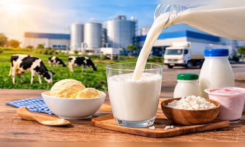 Hatsun Agro Q4 profit rises 18% despite margin pressure; dividend declared
