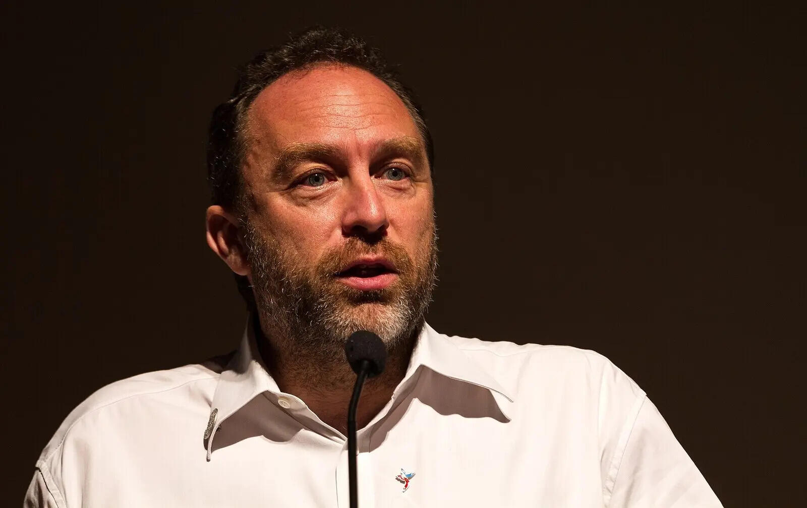 In 2001, Jimmy Wales and Larry Sanger watched an encyclopedia stall and quietly changed how the world learns everything |
