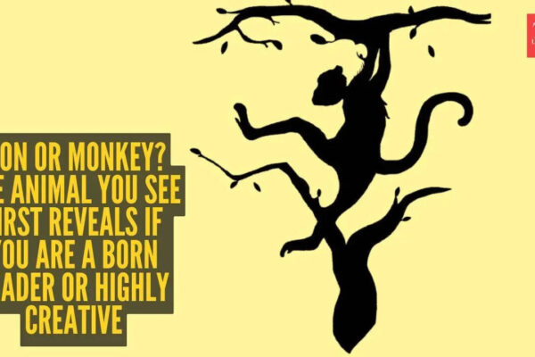 Optical illusion personality test: Lion or monkey? The animal you see first reveals if you are a born leader or highly creative |