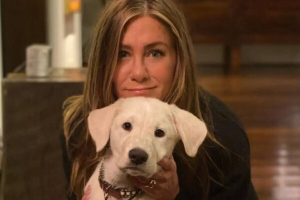 Jennifer Aniston Home Decor: Artistic elegance of Jennifer Aniston's luxurious home |