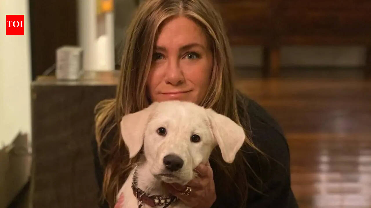 Jennifer Aniston Home Decor: Artistic elegance of Jennifer Aniston's luxurious home |