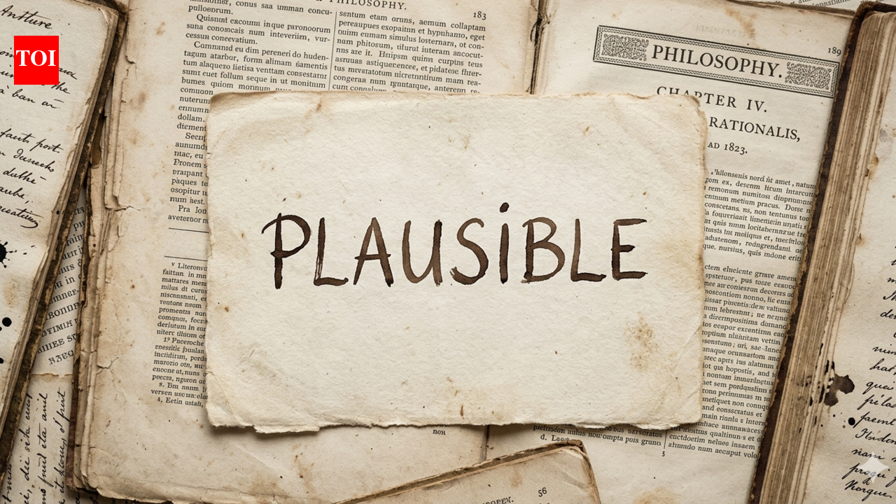 Word of the day: Plausible |