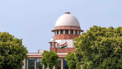 Illegal infiltration into India not terror act: Supreme Court; gives bail to Bangladeshi who helped others to cross over | India News