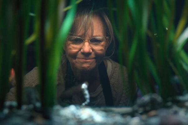 Sally Field: ‘Remarkably Bright Creatures’ star Sally Field always turns down THIS type of roles: ‘Women are about much more’ |