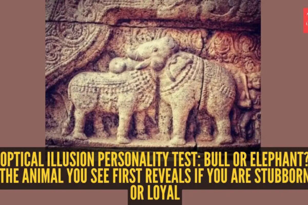 Optical illusion personality test: Bull or elephant? The animal you see first reveals if you are stubborn or loyal