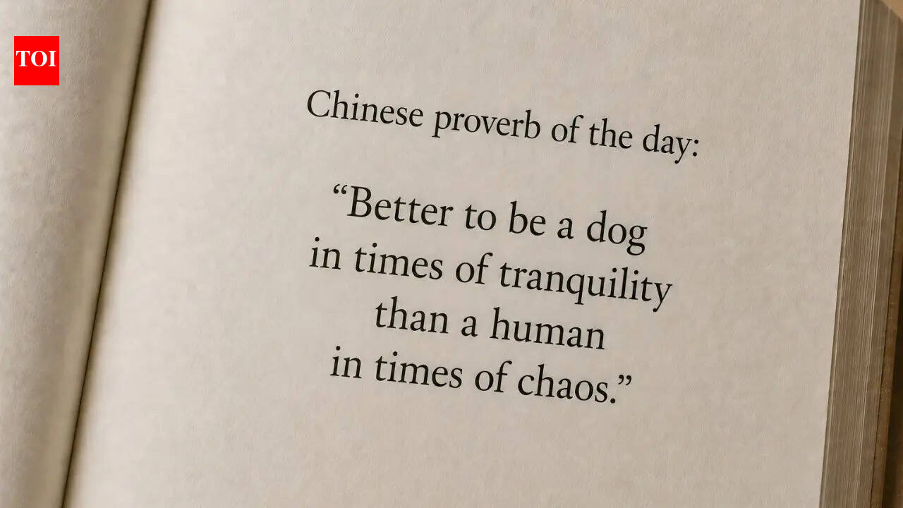 “Better to be a dog in times of tranquility than a human in times of chaos.”
