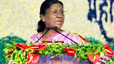 Ordinance to up SC judges from 33 to 37 promulgated