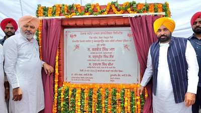 Underground electricity wiring project launched on pilot basis in CM Mann's native village