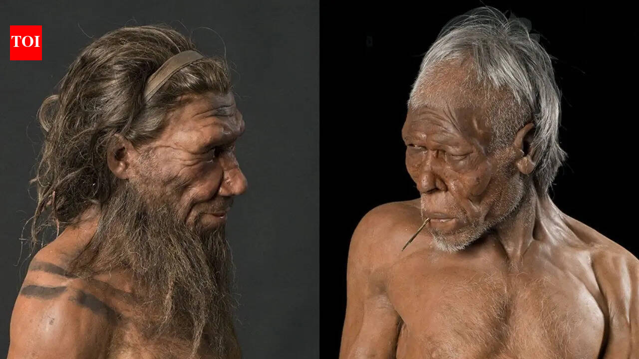 What separated modern humans from their ancient cousins