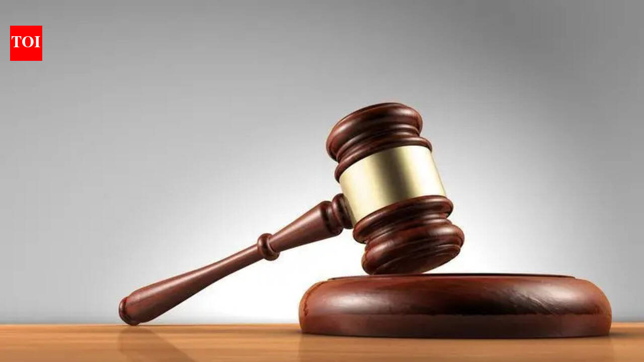 Now 18, rape survivor wants to marry accused; HC grants him bail | Chandigarh News