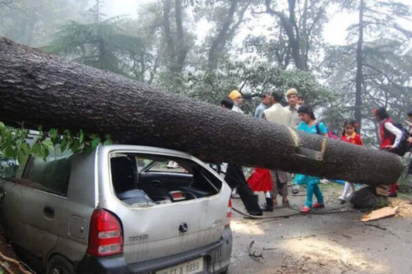 ‘Act of god’: NHAI says landslides not due to Shimla 4-lane project | Chandigarh News