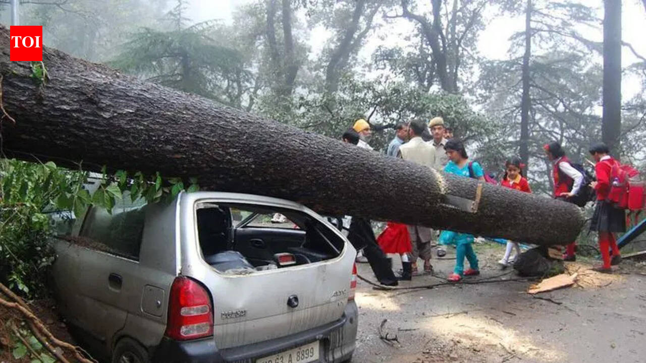 ‘Act of god’: NHAI says landslides not due to Shimla 4-lane project | Chandigarh News
