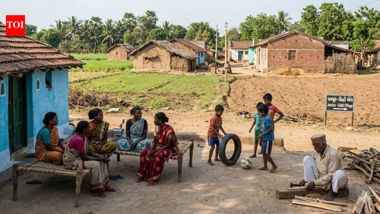 Why is Jambur known as the African village of India: Culture, identity and the story of the Siddi community |