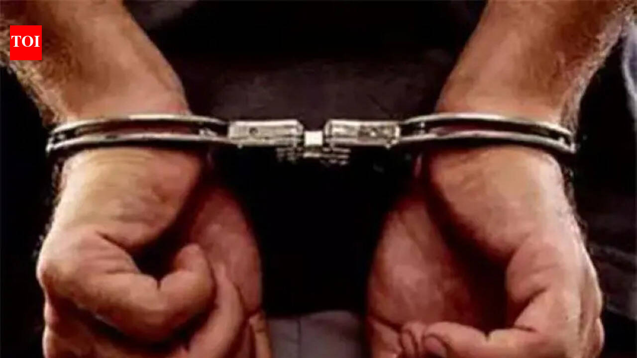 Indian trucker held in US for fatal hit-and-run; 5th case in 9 months | Chandigarh News