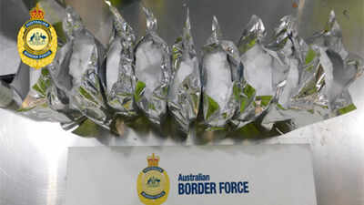 Indian national arrested after $5.6 million meth-making chemical found hidden in food consignment at Sydney port