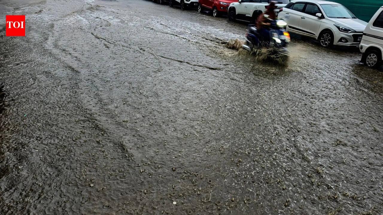Strong El Niño may peak this year and weaken before India’s 2027 monsoon, say meteorologists | Pune News