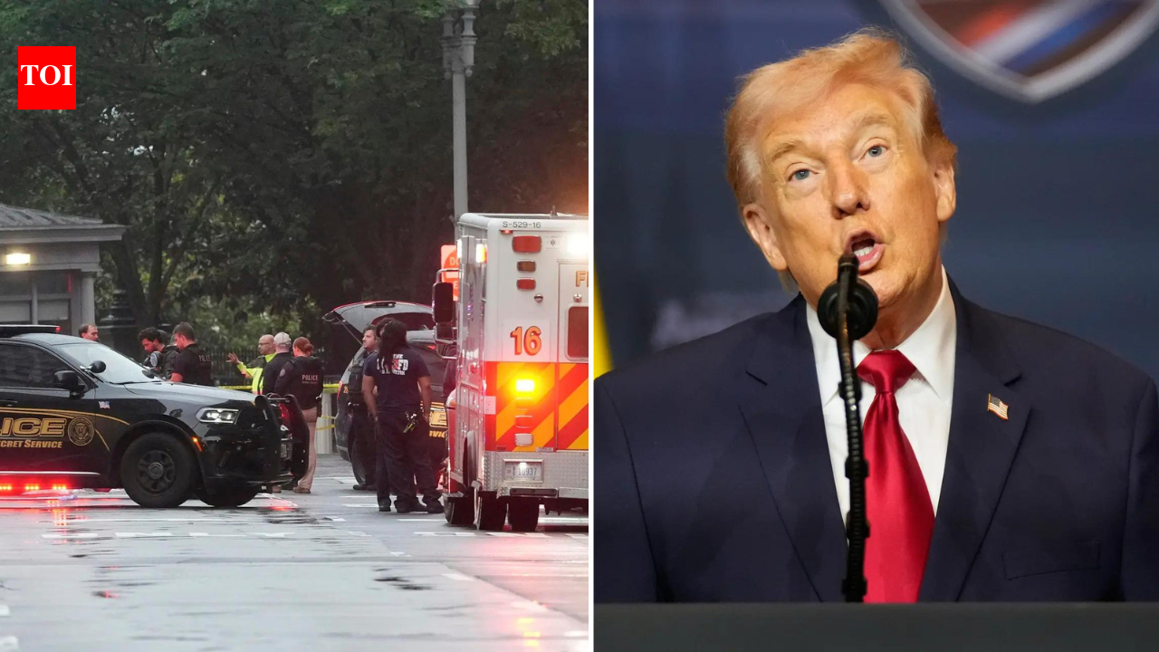 'Obsession with our country's most cherished structure': Trump reacts to White House shooting