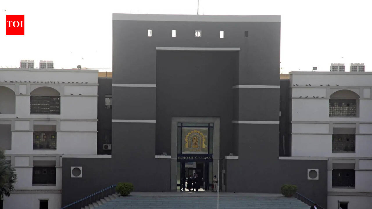 20-year-old moves Gujarat high court to replace stepfather’s name with biological father’s in certificates | Ahmedabad News