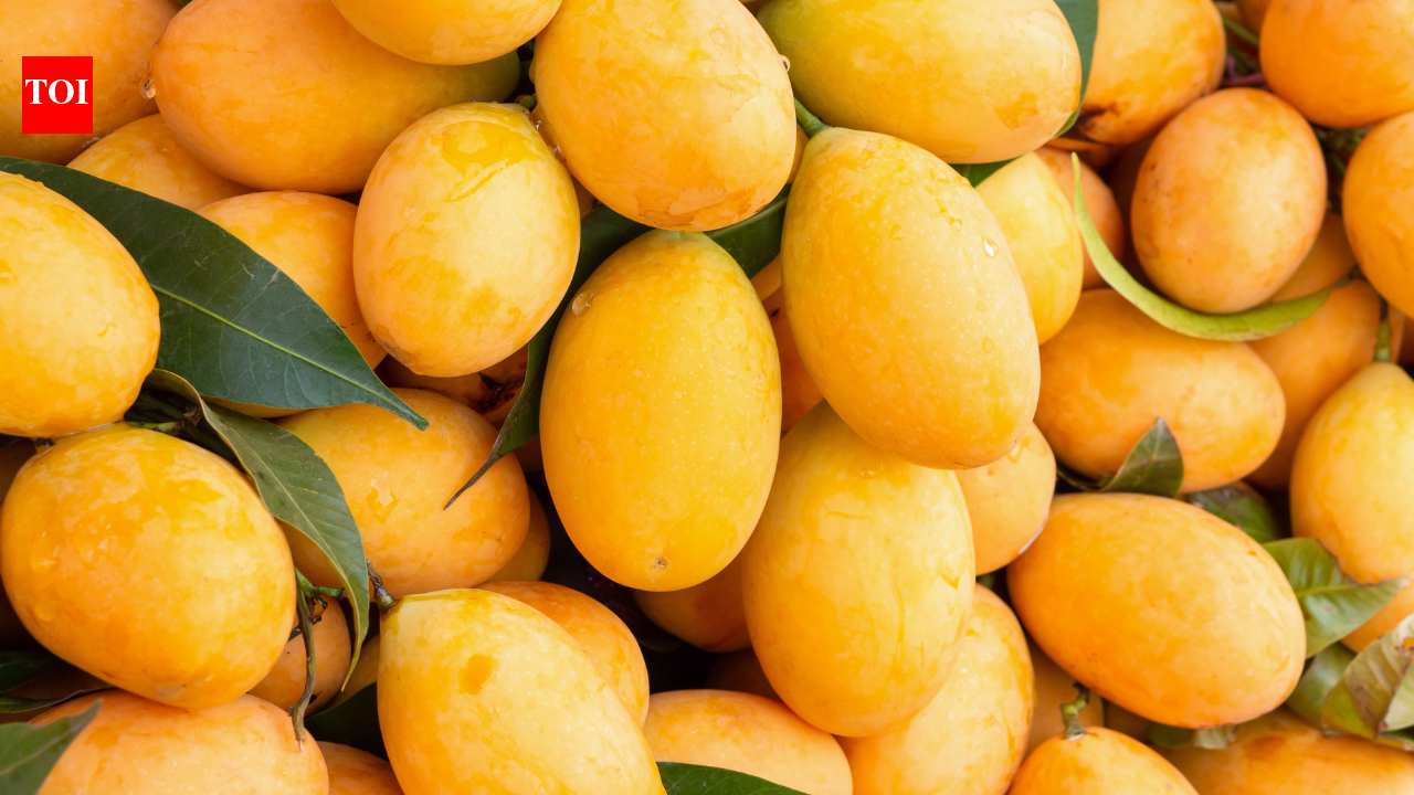 What is the ideal storage temperature to make mangoes last up to 3 weeks without spoilage |