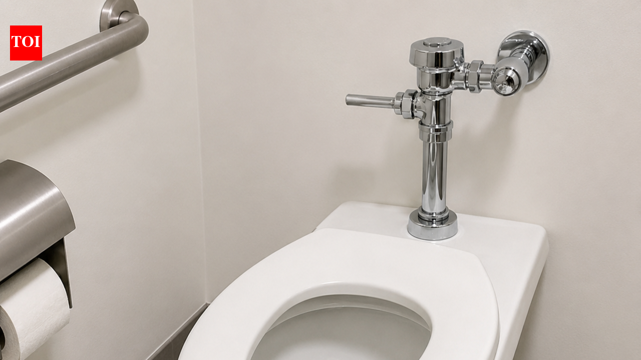 Why public toilet seats have gaps in them and why U-shaped toilet seats exist: What travellers should know |