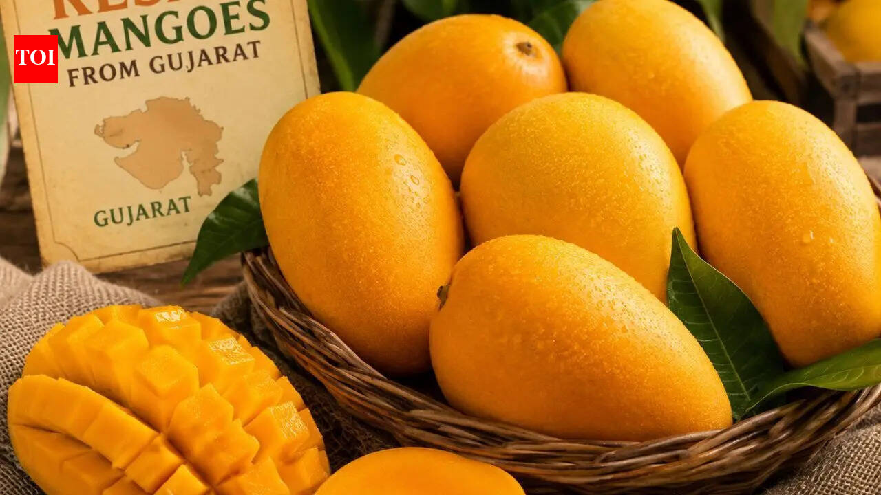 How Gujarat’s Kesar mangoes became a seasonal favourite in London Heathrow |