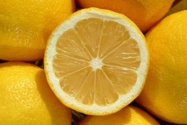8 simple hacks to keep lemons juicy for longer this summer and stop them drying out |