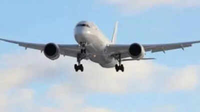 Air India, AI Express, IndiGo to slash 250 domestic flights a day