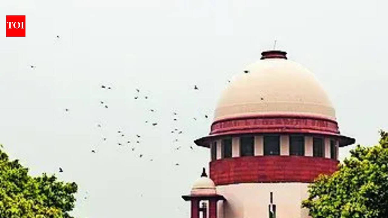 SC: Child's right to know father outweighs privacy | India News