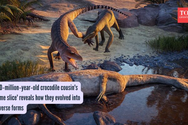 210‑million‑year‑old crocodile cousin's ‘time slice' reveals how they evolved into diverse forms