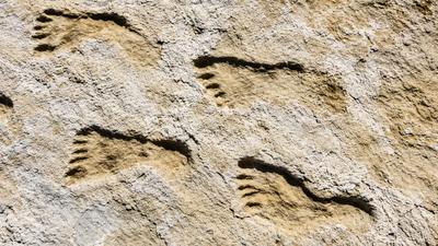 23,000-year-old footprints in New Mexico changed everything scientists believed about the first Americans | World News