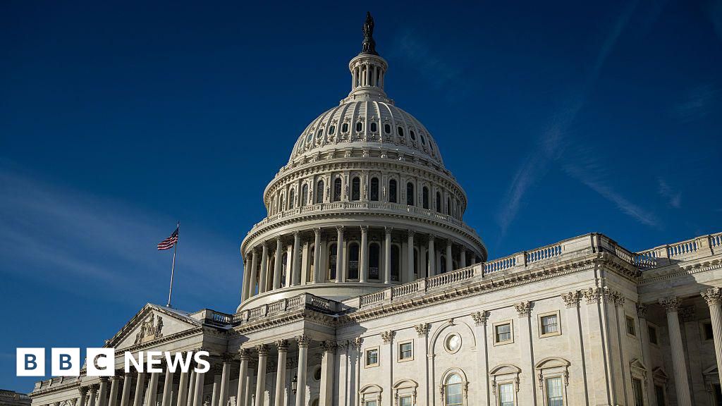 US House votes to end partial government shutdown after 76 days