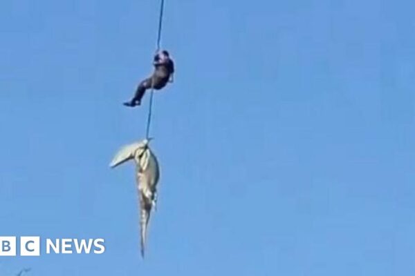 South African police officer lowered into crocodile-infested river to recover human remains