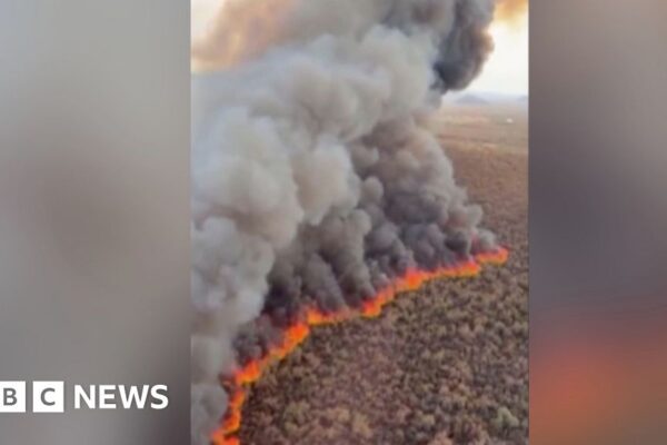 Wildfire tears through hundreds of acres in Arizona