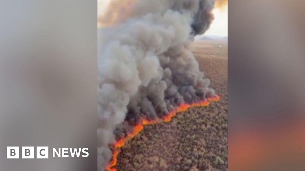 Wildfire tears through hundreds of acres in Arizona