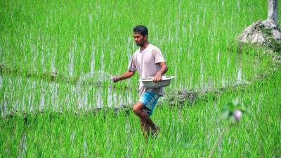 India’s fertiliser output rises in April but still short of normal level