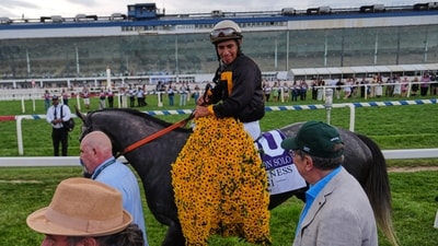 Napoleon Solo: 10 interesting facts about Preakness winner - from jockey, owner to trainer
