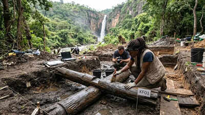 A 476,000-year-old wooden structure found in Kalambo Falls is changing human history | World News
