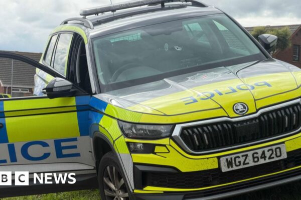 Shot fired as officer struck by stolen police car