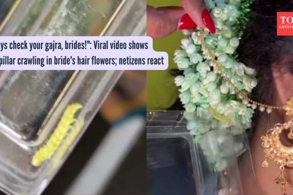 Gajra: "Always check your gajra, brides!": Viral video shows caterpillar crawling in bride's hair flowers; netizens react