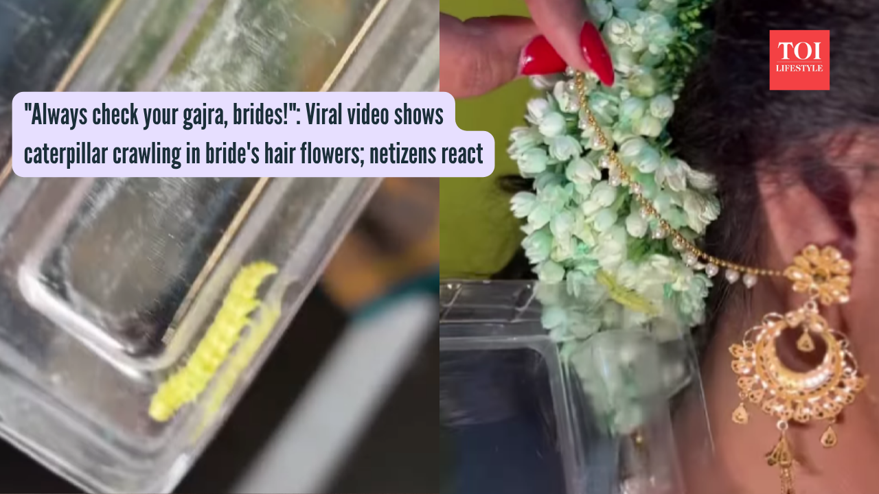 Gajra: "Always check your gajra, brides!": Viral video shows caterpillar crawling in bride's hair flowers; netizens react