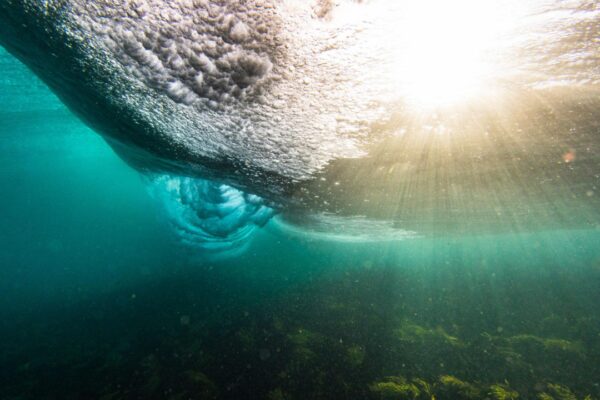Sundar Pichai found the ‘calmest place in the world’ underwater and it reshaped his approach to leadership |