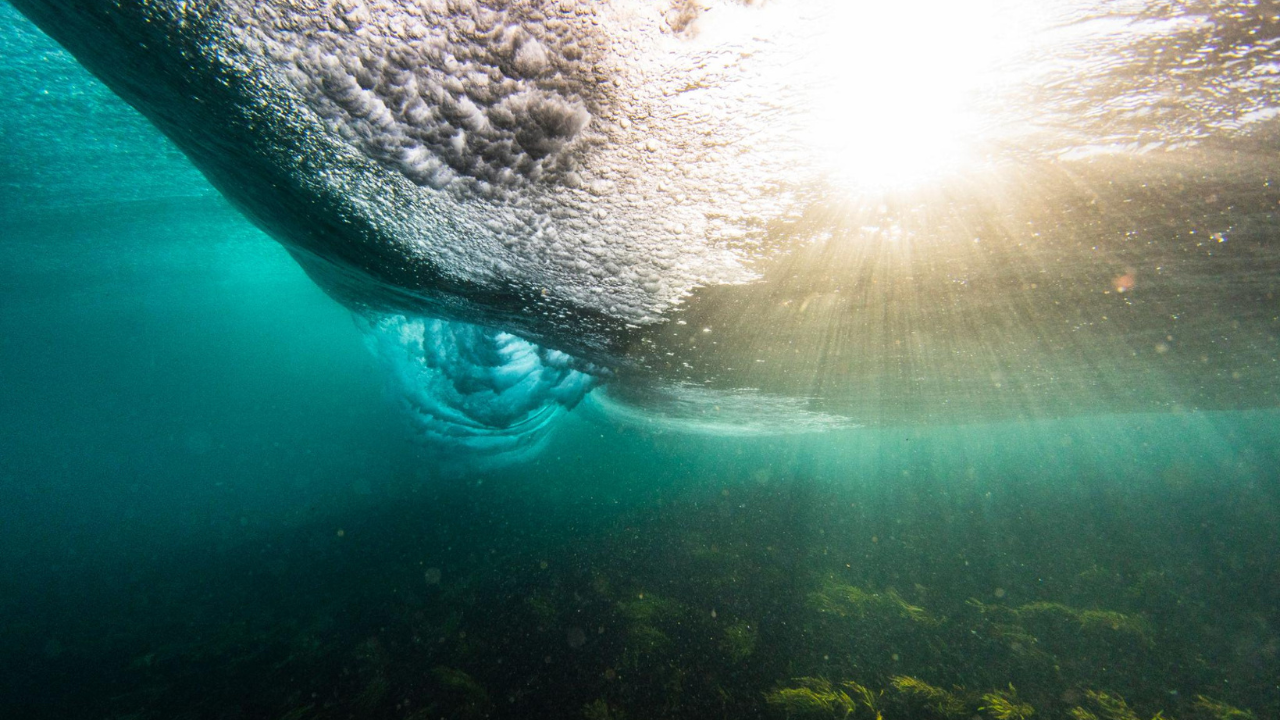 Sundar Pichai found the ‘calmest place in the world’ underwater and it reshaped his approach to leadership |